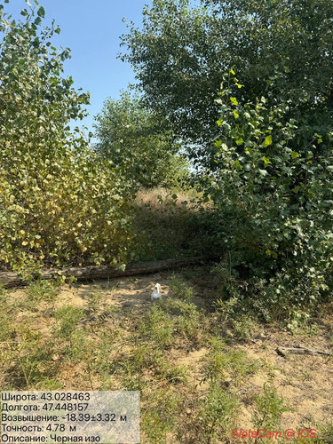 photo 21 2025 08 27 16 45 37.jpg