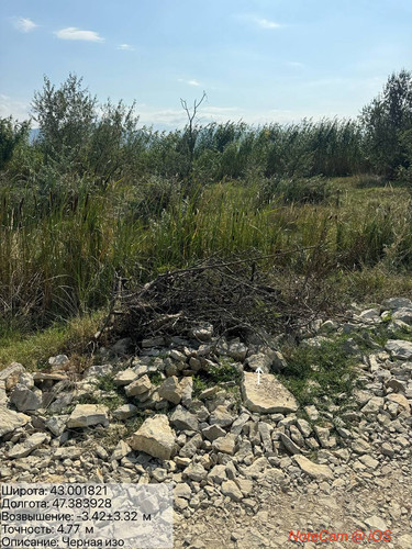 photo 3 2025 08 27 17 09 14.jpg