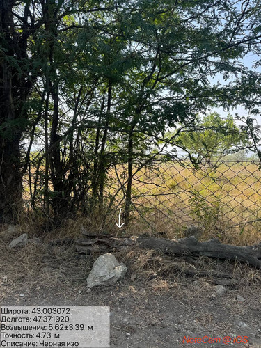 photo 1 2025 08 27 17 09 14.jpg