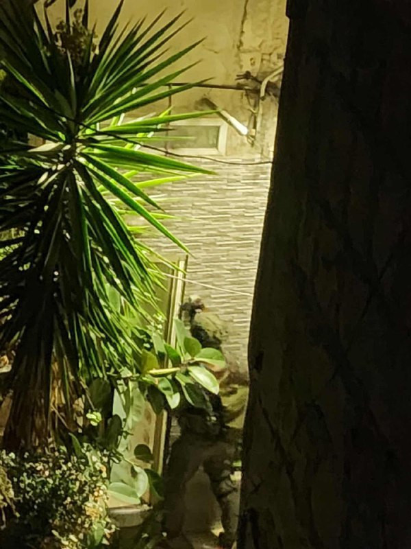 مصادر محلية: قوات الاحتلال تقتحم منزلاً في حارة الحبله بالبلدة القديمة وسط نابلس...