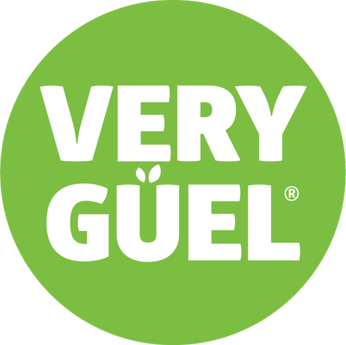 LOGO VG (2).png