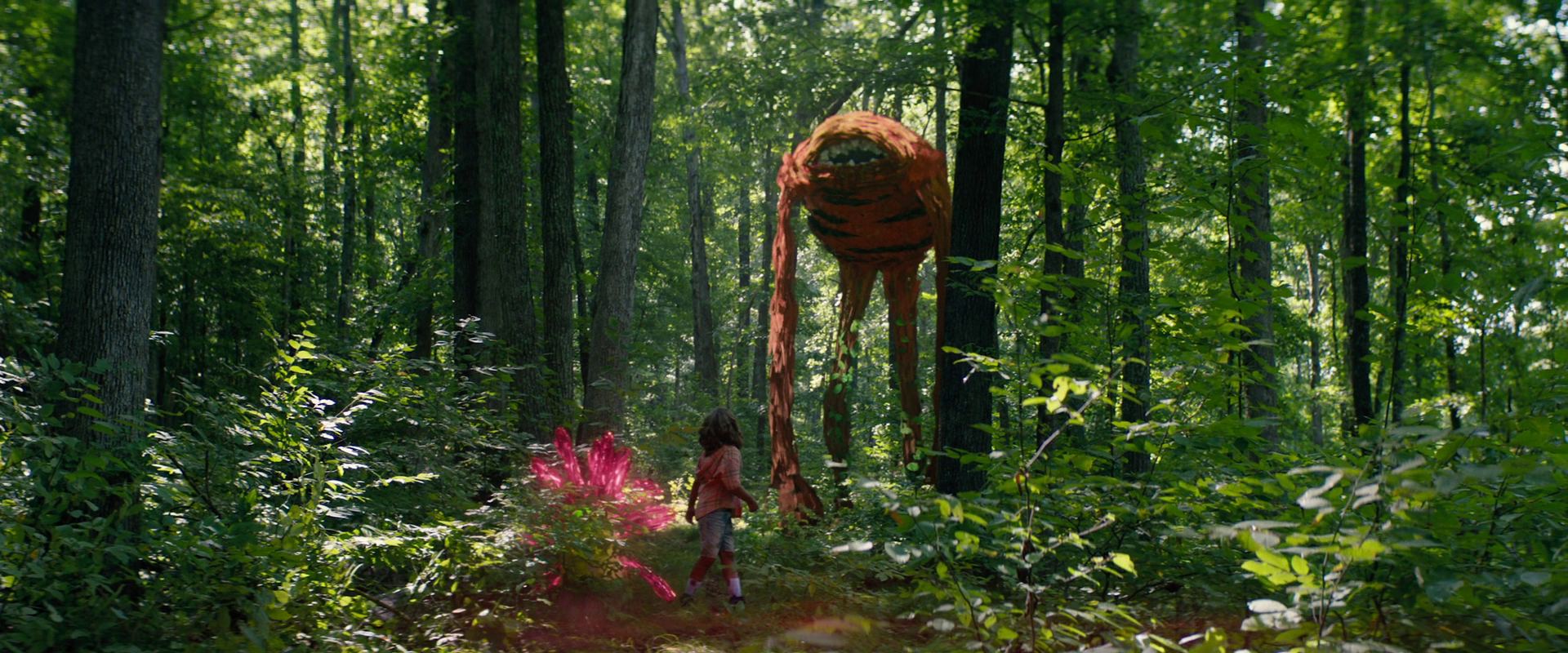 vlcsnap 2025 08 26 19h23m42s409