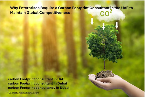 Carbon Footprint..jpg