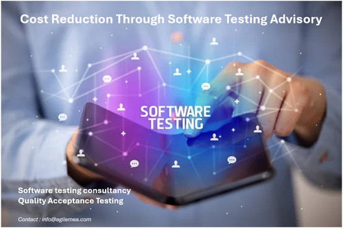 software testing consultancy.jpg