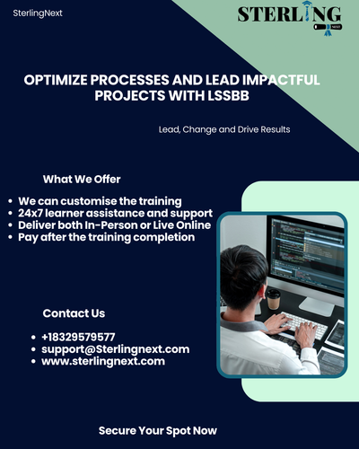 Lean six sigma black belt.png