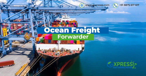 Global Ocean Freight Forwarder | Gxpress.jpg