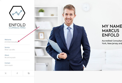 Enfold Markus Consulting Demo