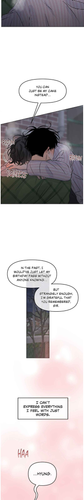 17.png