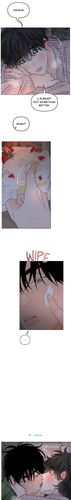 16.png
