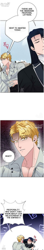 15.png