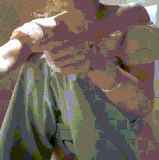 69fhqu.gif