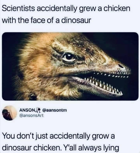 Screenshot 2025 08 29 at 9.11.30 AM.png