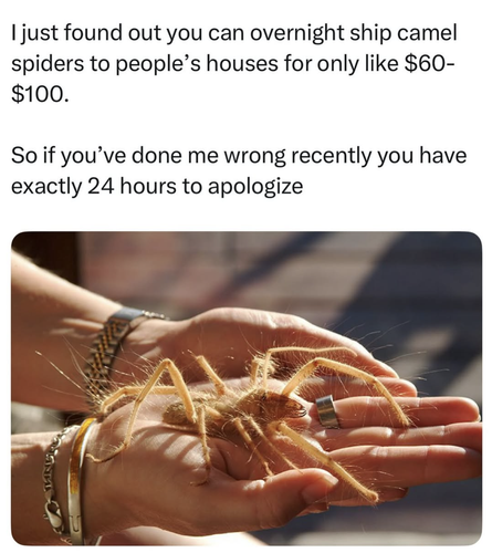 Screenshot 2025 08 29 at 8.47.49 AM.png
