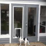 Convenient Dog Door for Glass Panel Door Installations.gif