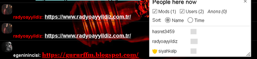 ayyyildiz.png