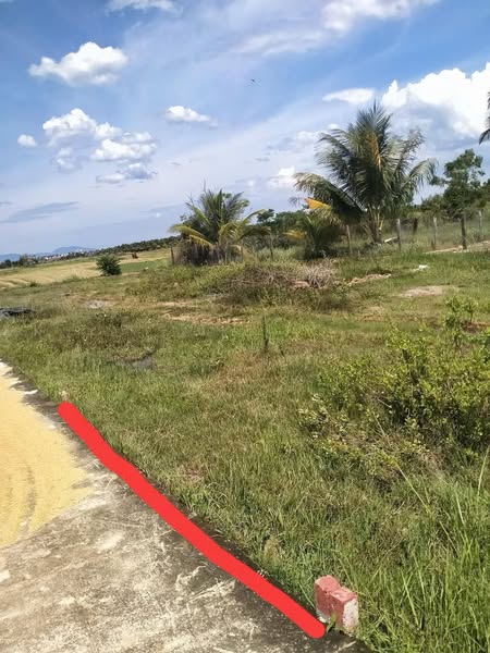 540749356 122095380249000186 3097802257674622650 n.jpg