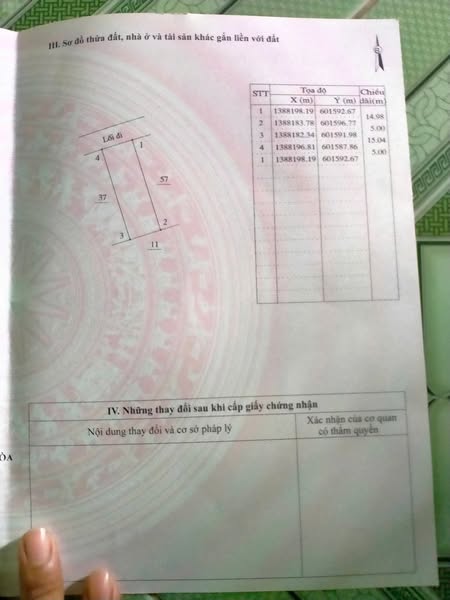 539752063 122095380243000186 4541152080566955279 n.jpg