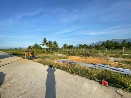 539556470 122095380297000186 3532158058691521640 n.jpg