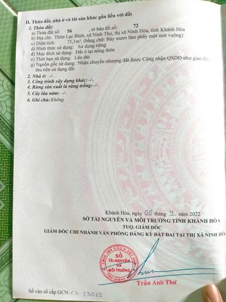 539518924 122095380363000186 766430376066219768 n.jpg