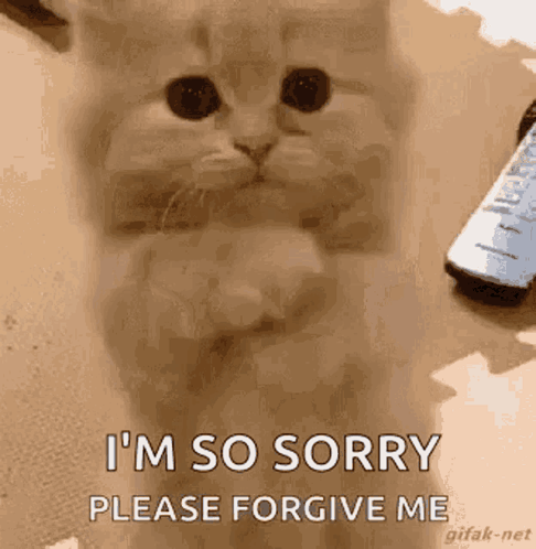 K3mQhmu.gif