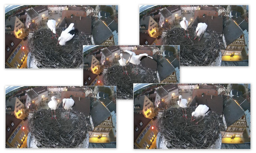 Bilder1.jpg