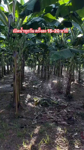 l21PRfoDLuJ7 pyR.jpg