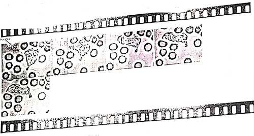 VIDEO transformed.png