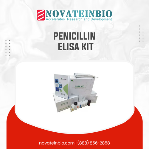 Penicillin ELISA kit.png