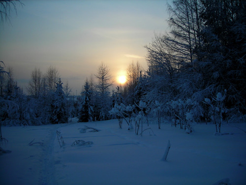 закат (зима).jpg