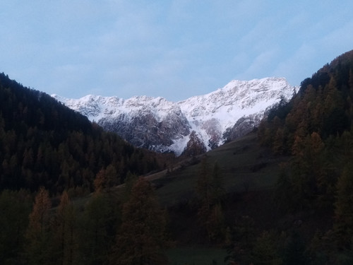 IMG 20251026 064551.jpg