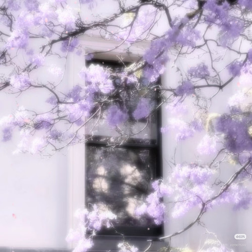 Camera 1040g3k031eprpjl06e105o0njv709aifvtu4qg0.jpg