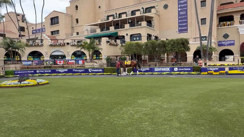 gjAvTvkEzSo 5ddY.jpg