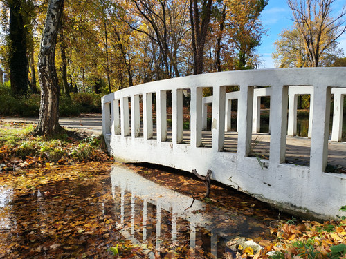 IMG 20251026 122350.jpg