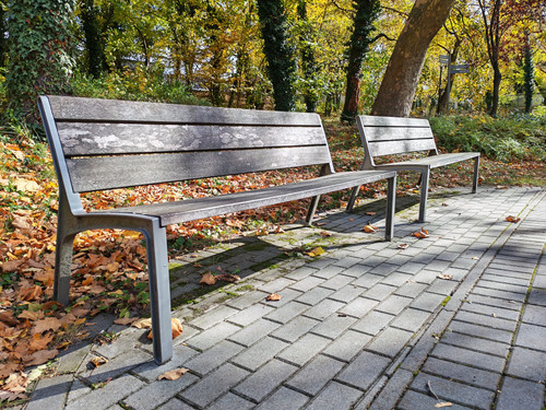 IMG 20251026 122122.jpg