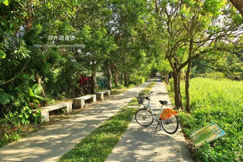 00011 頂庄自行車道.webp