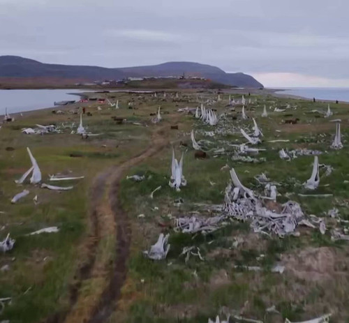 NZiUHryLF8Q s9Pl.jpg