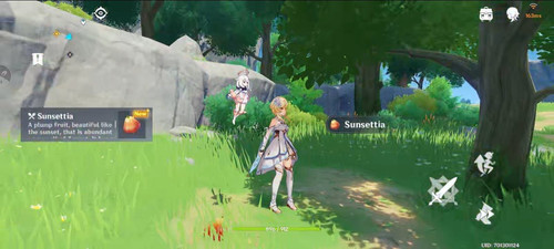 genshin impact cloud 39642 1.jpg