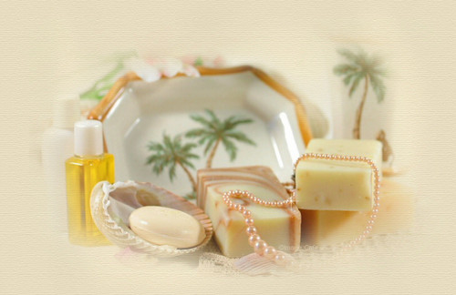 tropicalspa top.jpg