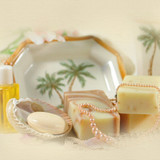 tropicalspa top
