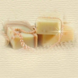 tropicalspa blank2