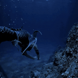 From KlickPin CF Pin oleh Anne Marie Wright di Loves di 2025 Estetika alam Lautan Fantasi.gif