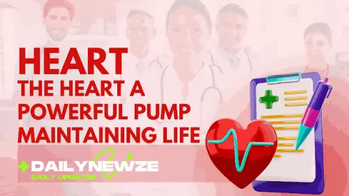The Heart A Powerful Pump Maintaining Life.webp