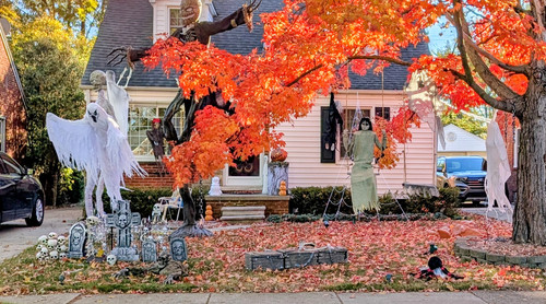 PXL 20251026 210209771~2.jpg