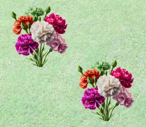 CARNATIONS.jpg