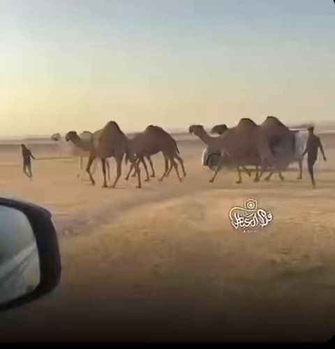 CZgMricVW xblKV9.jpg