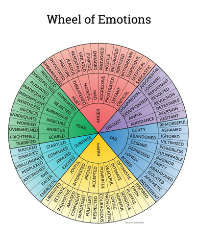 WhatsApp Image 2025 10 26 at 6.29.09 PM.jpg