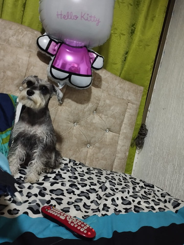 IMG 20240920 WA0002.jpg