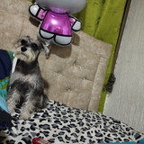 IMG 20240920 WA0002