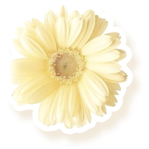 Image 1761523272142.png