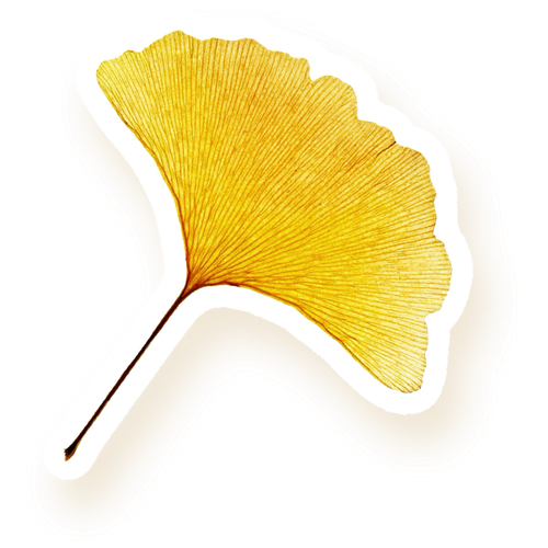 Image 1761504598152.png